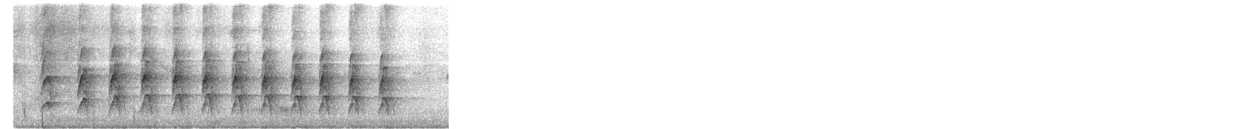 Plain Thornbird - ML648490326