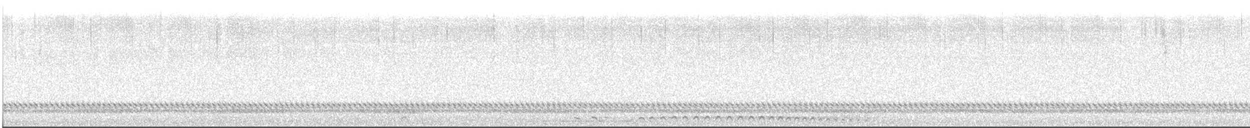 Western Screech-Owl - ML648491089