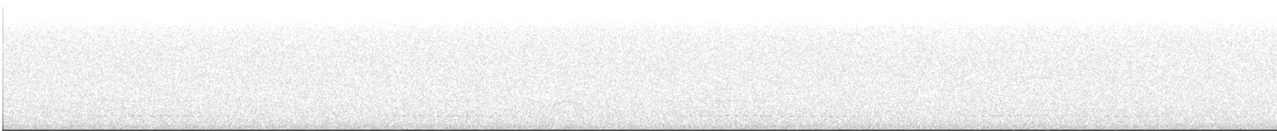 Western Screech-Owl - ML648491304