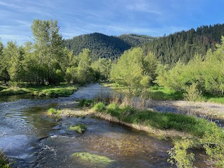 Rock Creek Confluence Trail, Missoula, Montana, United States - eBird ...
