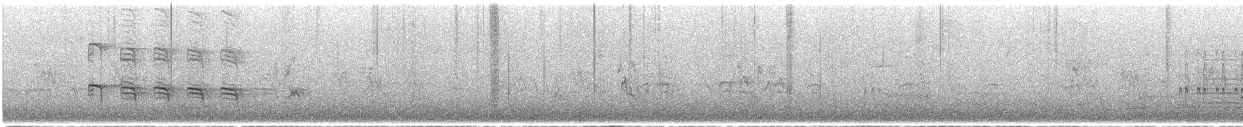 Great-tailed Grackle - ML648498316