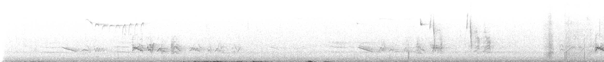 Eastern Bluebird - ML648504178