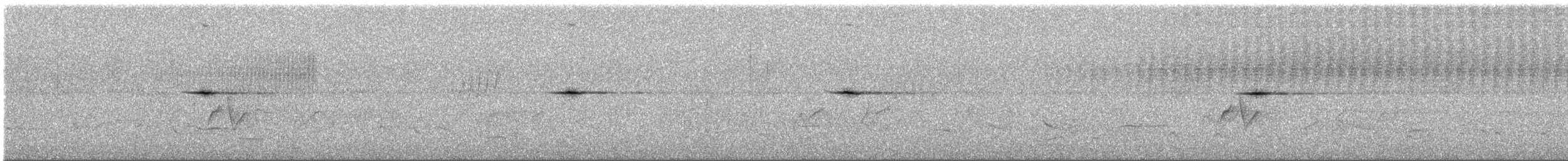 Fan-tailed Grassbird - ML648536257