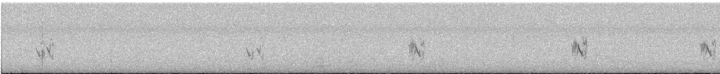 Terrera Orejiblanca - ML648537070