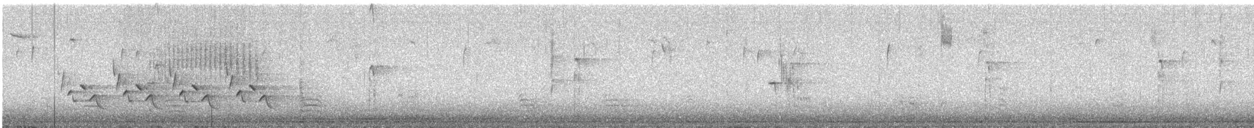 White-breasted Nuthatch - ML648543507