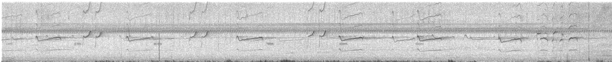 Solitary Sandpiper - ML648549377