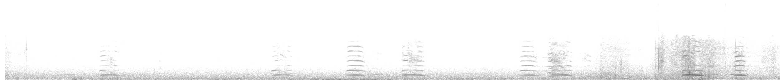 Cigno selvatico - ML648549579