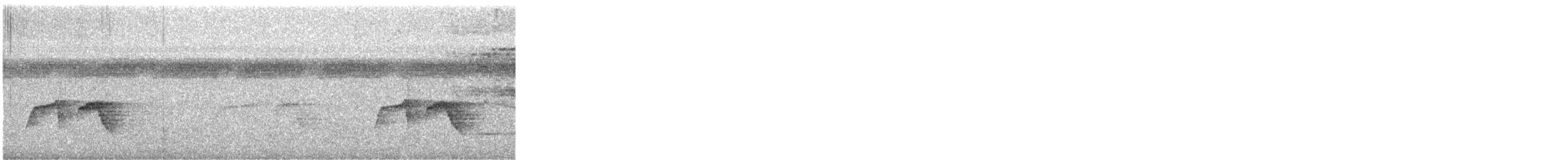 Жемчужноспинная муравьеловка - ML648551682