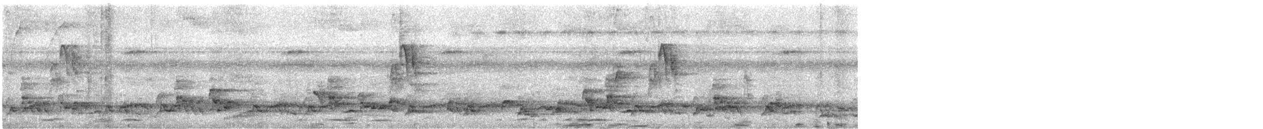 Чернолобая монашенка - ML648551834