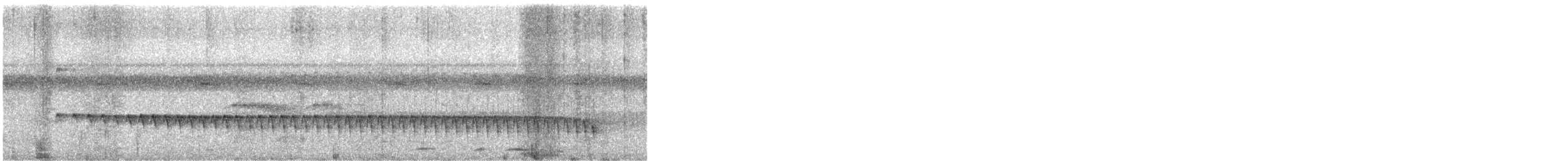 Белобровая муравьеловка - ML648551898