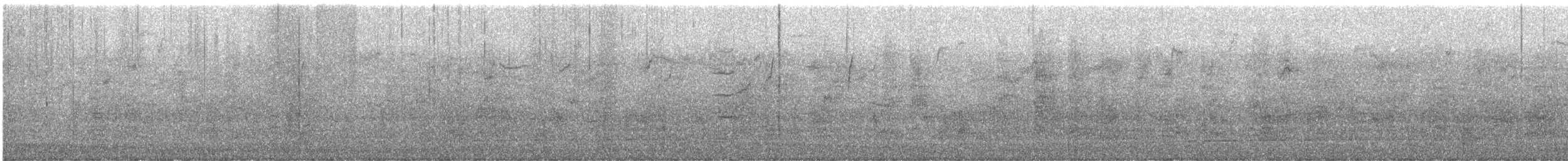 Common Grackle - ML648552287