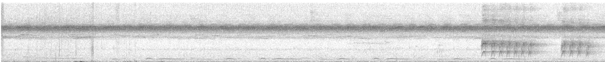 Plain Pigeon - ML648559778