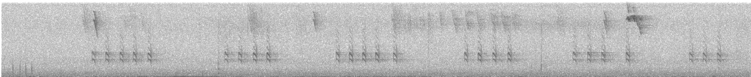 Bec-croisé d'Hispaniola - ML648561104
