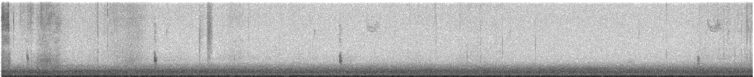 Common Grackle (Bronzed) - ML648561810