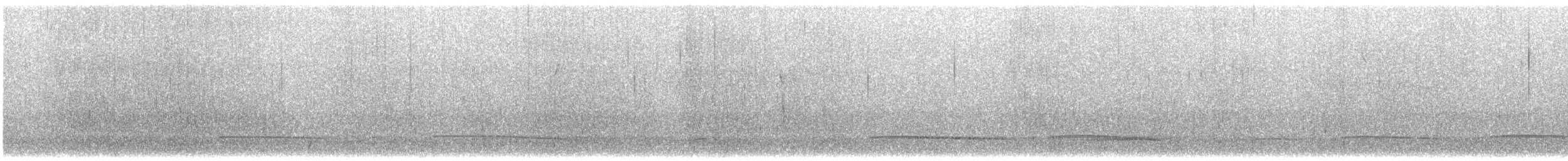 Black Scoter - ML648562275