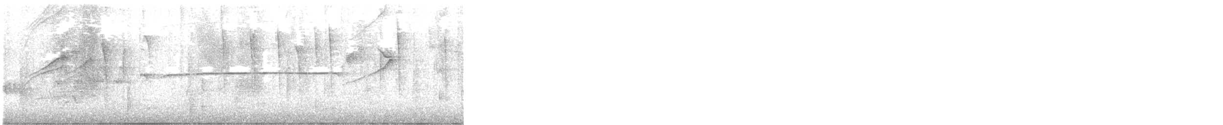 Busardo Aliancho - ML648569032