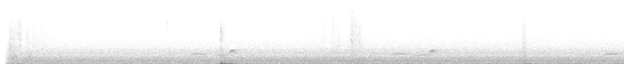 ウスグロヨタカ - ML648569263