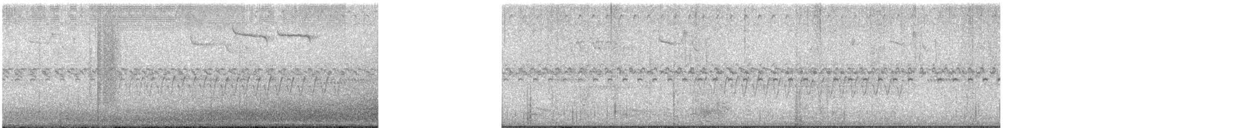 Pine Warbler - ML648577422