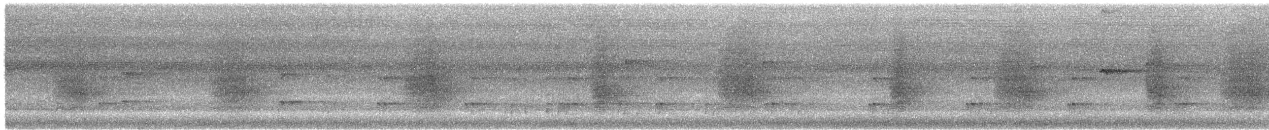 髮冠卷尾(leucops/banggaiensis) - ML648579056