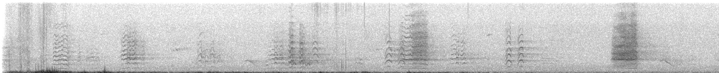 Long-billed Corella - ML648581549