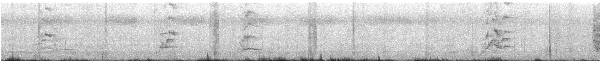 Regenbogenlori - ML648583348