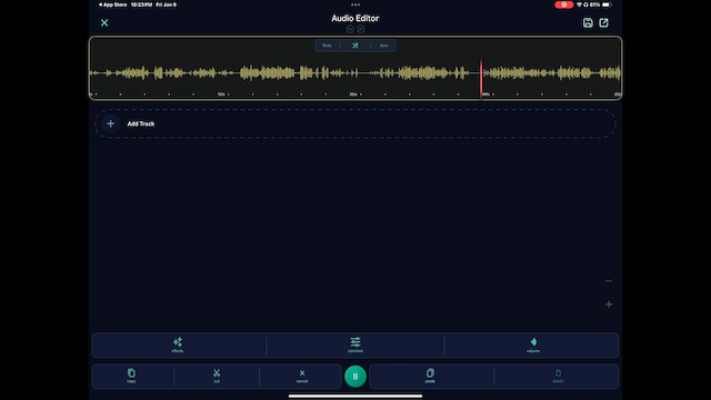 フユミソサザイ - ML648589335