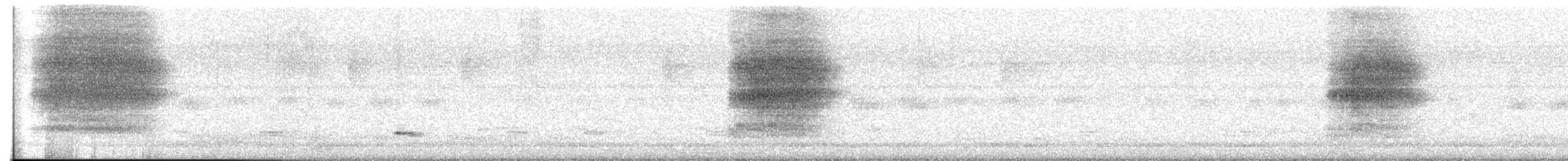 Indian Golden Oriole - ML648591817