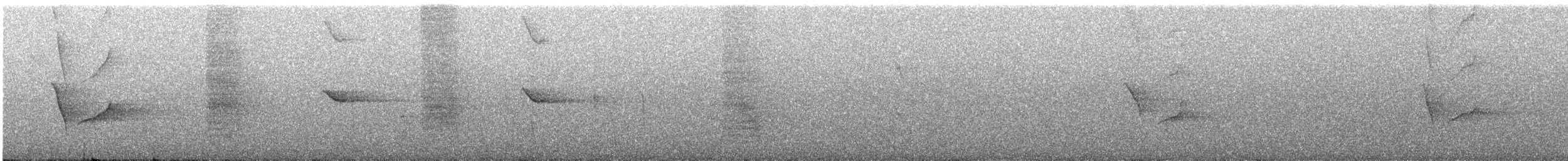 Hair-crested Drongo - ML648599164