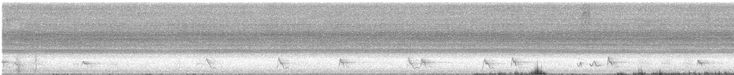 Mangrovehonigfresser - ML648599440