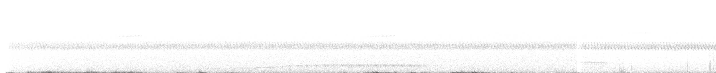 White-throated Nightjar - ML648599628