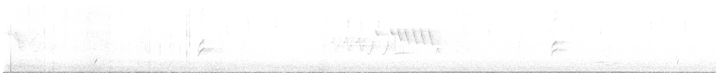 Swainson's Thrush - ML648599826