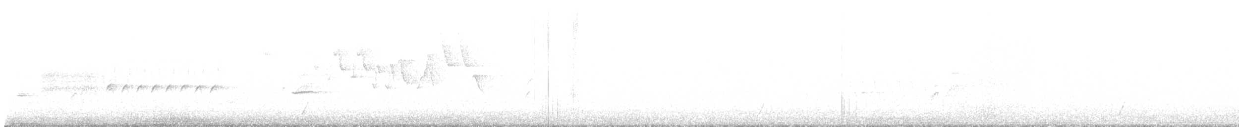 Swainson's Thrush - ML648599851