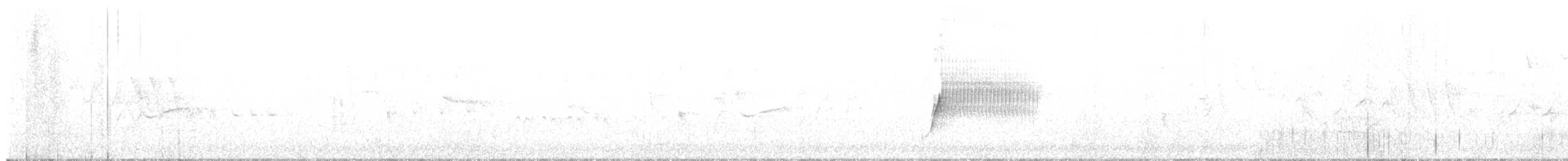 Spotted Towhee - ML648600495