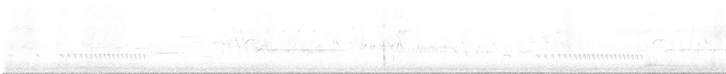 Wrentit - ML648601158