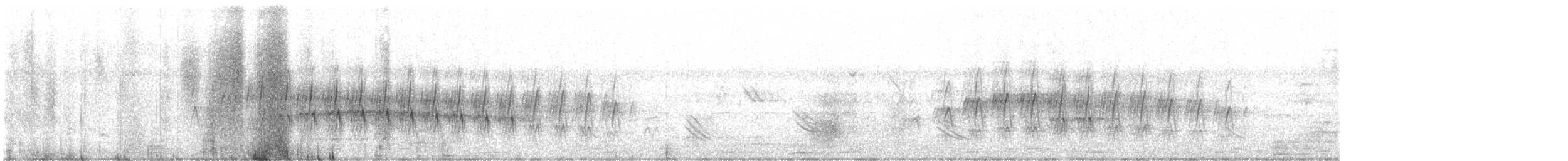 Plain Thornbird - ML648611986