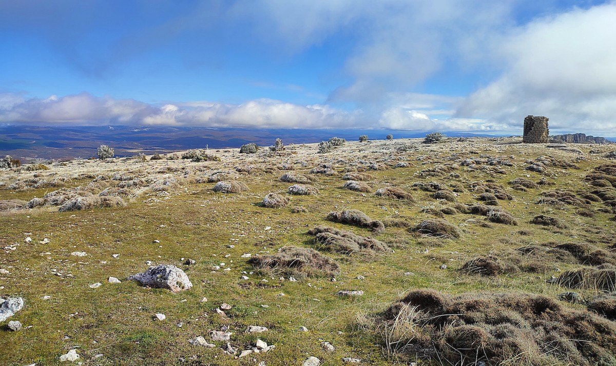 Not specified - Mario Alonso