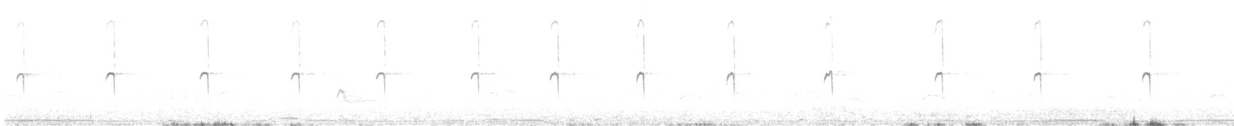 Колібрі велетенський - ML648617112