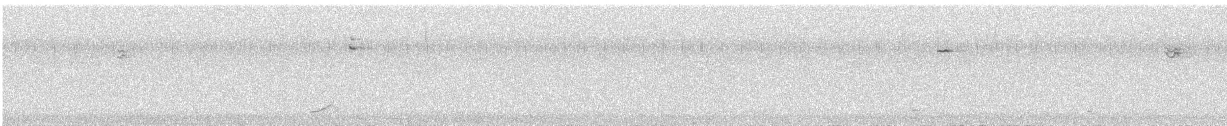 Northern Saw-whet Owl - ML648631043