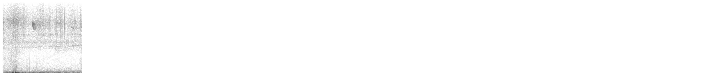 Pine Warbler - ML648631939