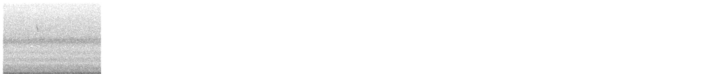 Northern Parula - ML648632109