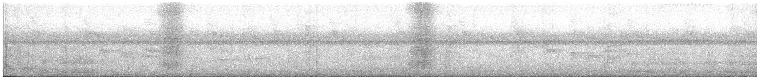 Black Vulture - ML648635602