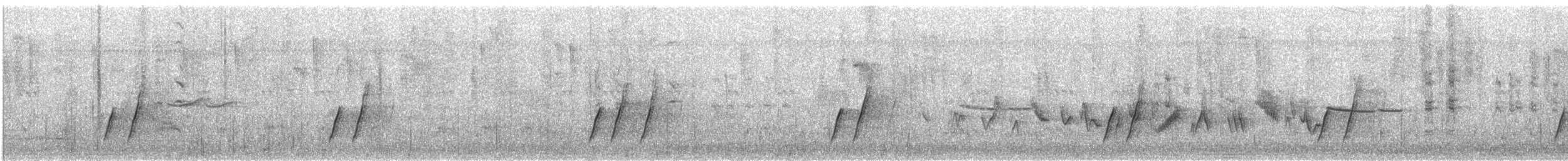 Curve-billed Thrasher - ML648647570