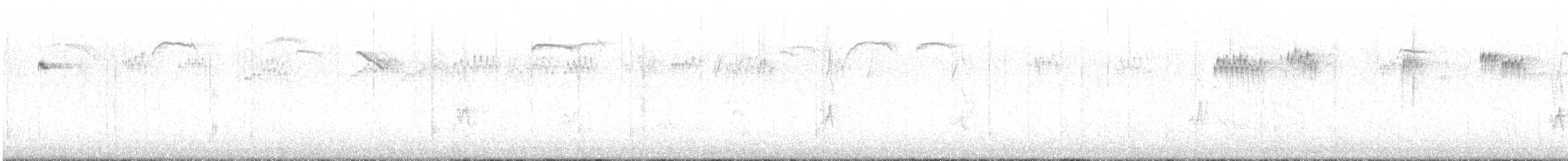 brkoslav americký - ML648653482