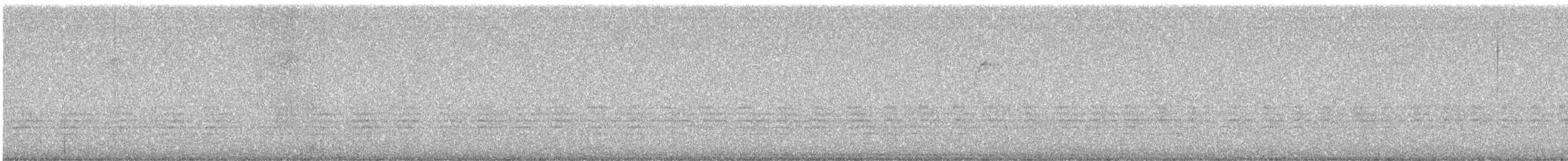 Red-breasted Nuthatch - ML648661548