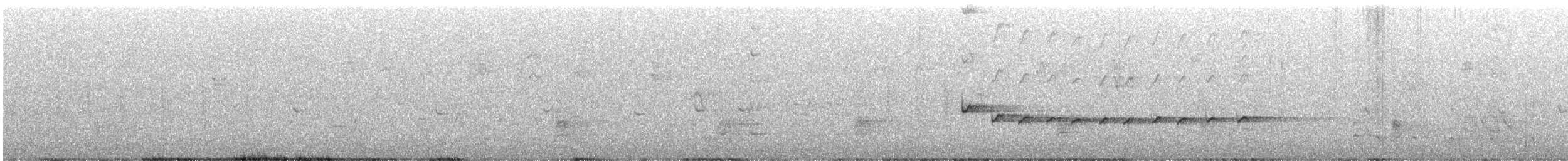 White-throated Treecreeper (White-throated) - ML648664643