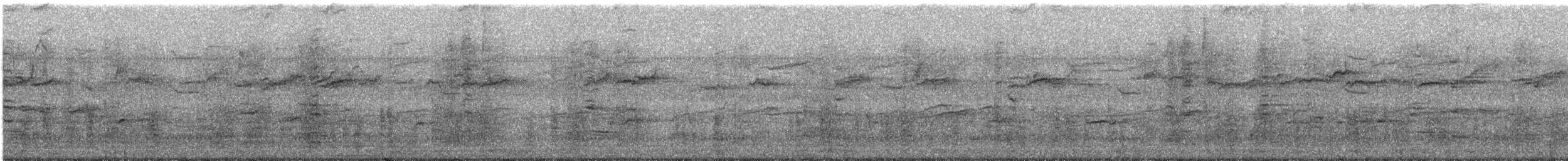 Common Grackle - ML648664934