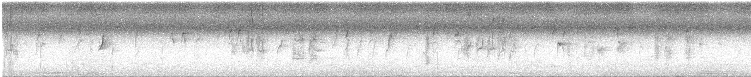 Fahlstirnsericornis - ML648668678