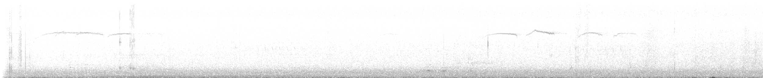 brkoslav americký - ML648668738