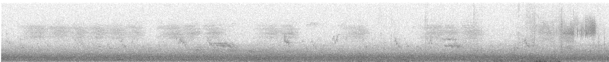 langstjertsmett - ML648669839