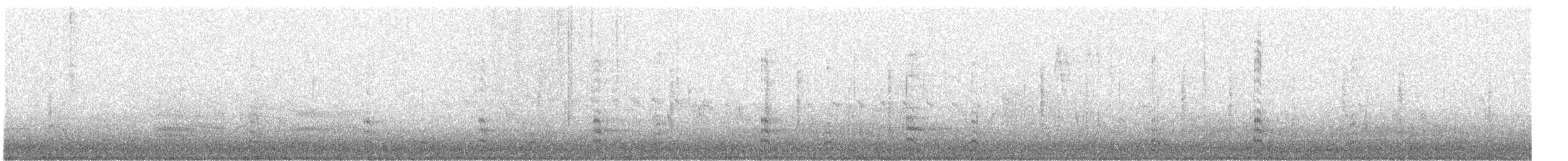 amerikasothøne - ML648669843